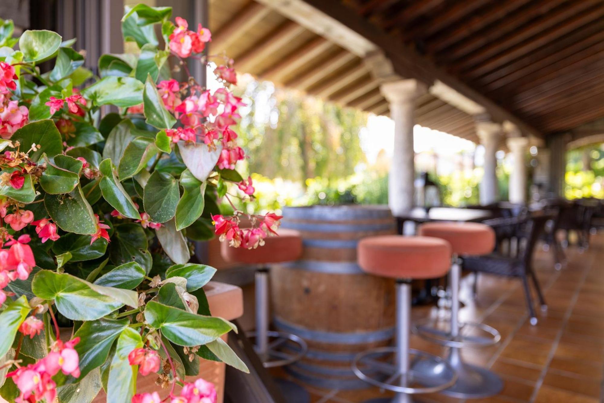 Albergo Villa Edy Tremezzo Exterior photo